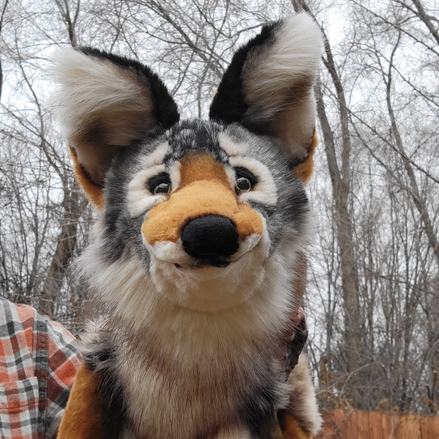 Samwise the Coastal Wolf - Handmade Plush - One of a Kind Stuffed Animal