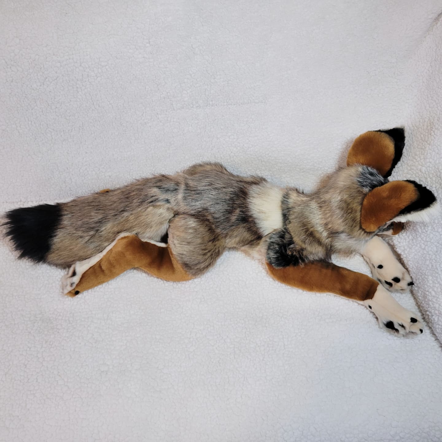 Samwise the Coastal Wolf - Handmade Plush - One of a Kind Stuffed Animal