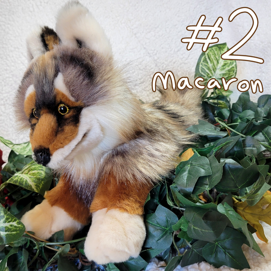Macaron the Coastal the Wolf - One of a Kind Handmade Plush