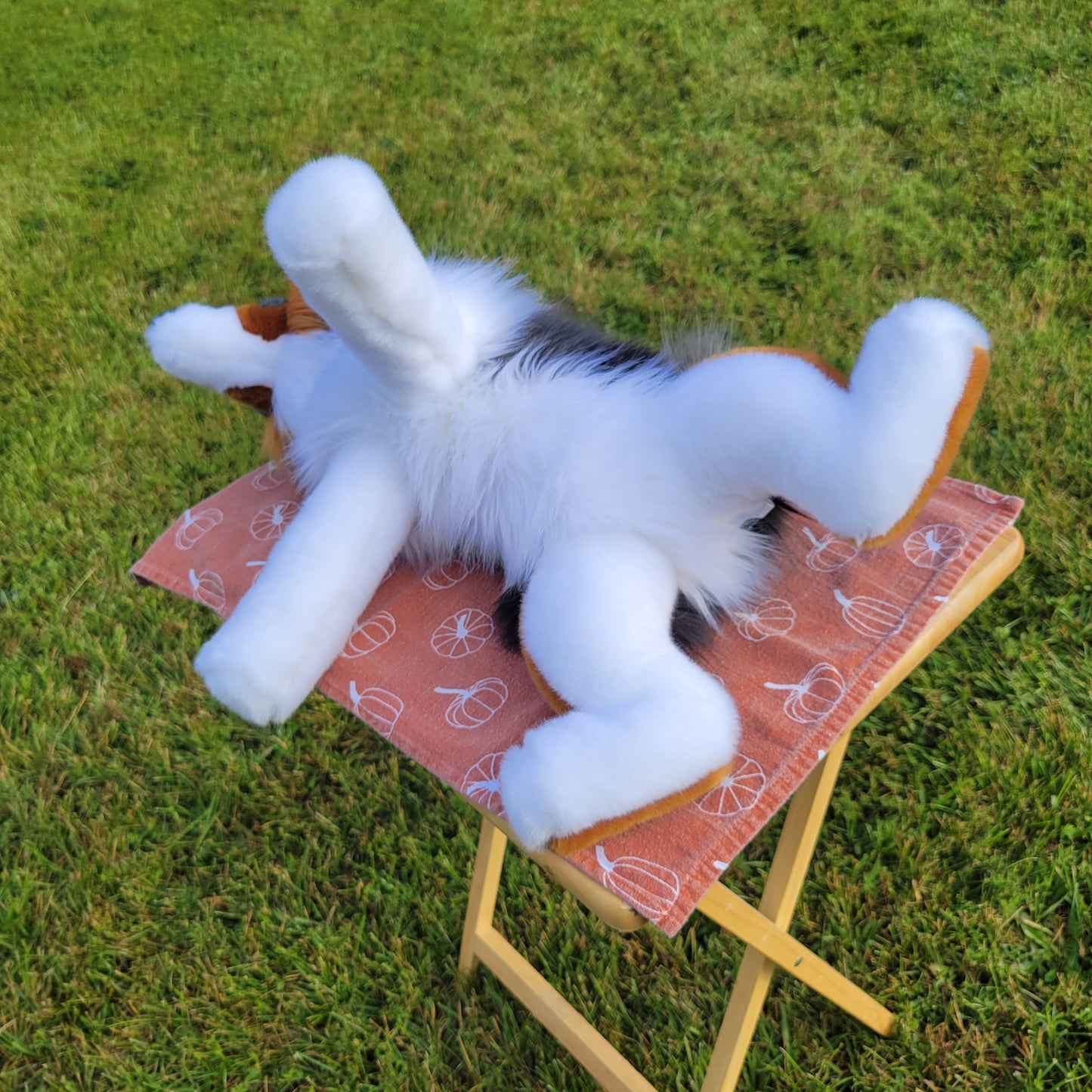 Marble the Australian Shepherd- One of a Kind Stuffed Animal