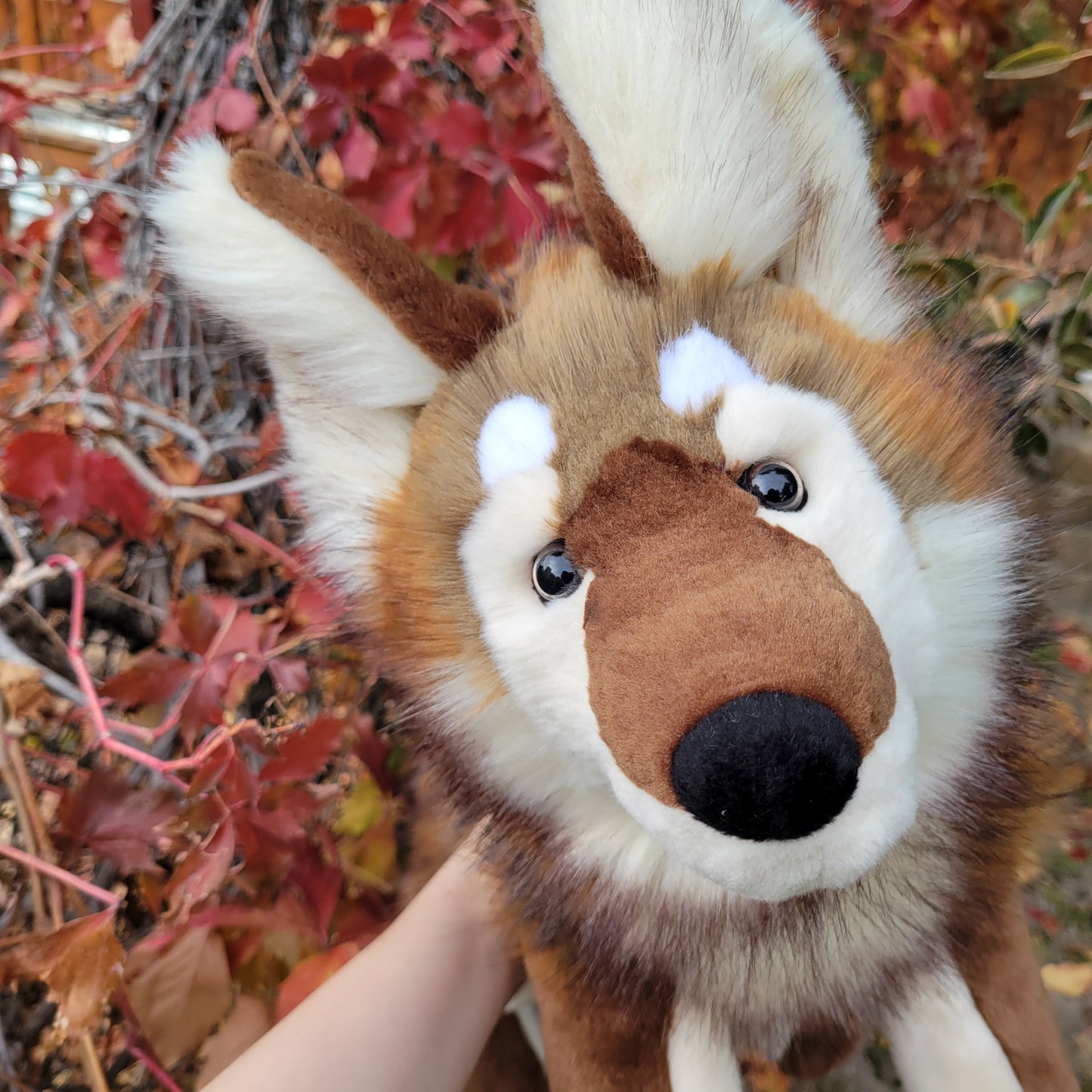 Brown Wolf Plush - Handmade Plush - One of a Kind Stuffed Animal