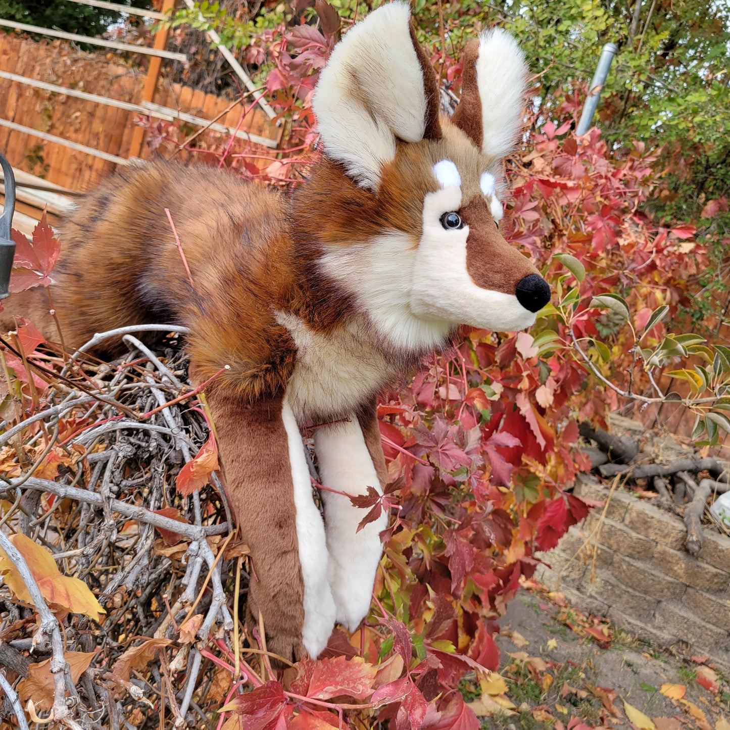 Brown Wolf Plush - Handmade Plush - One of a Kind Stuffed Animal