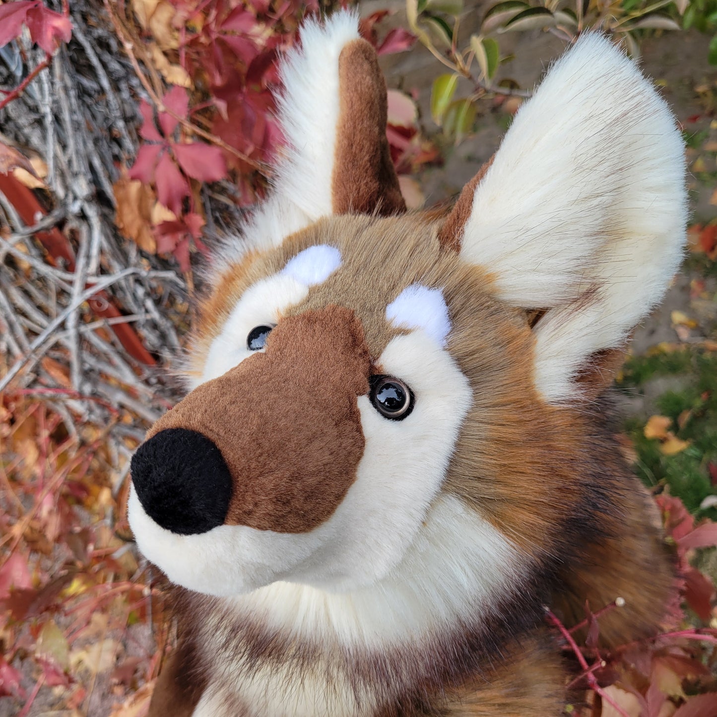 Brown Wolf Plush - Handmade Plush - One of a Kind Stuffed Animal