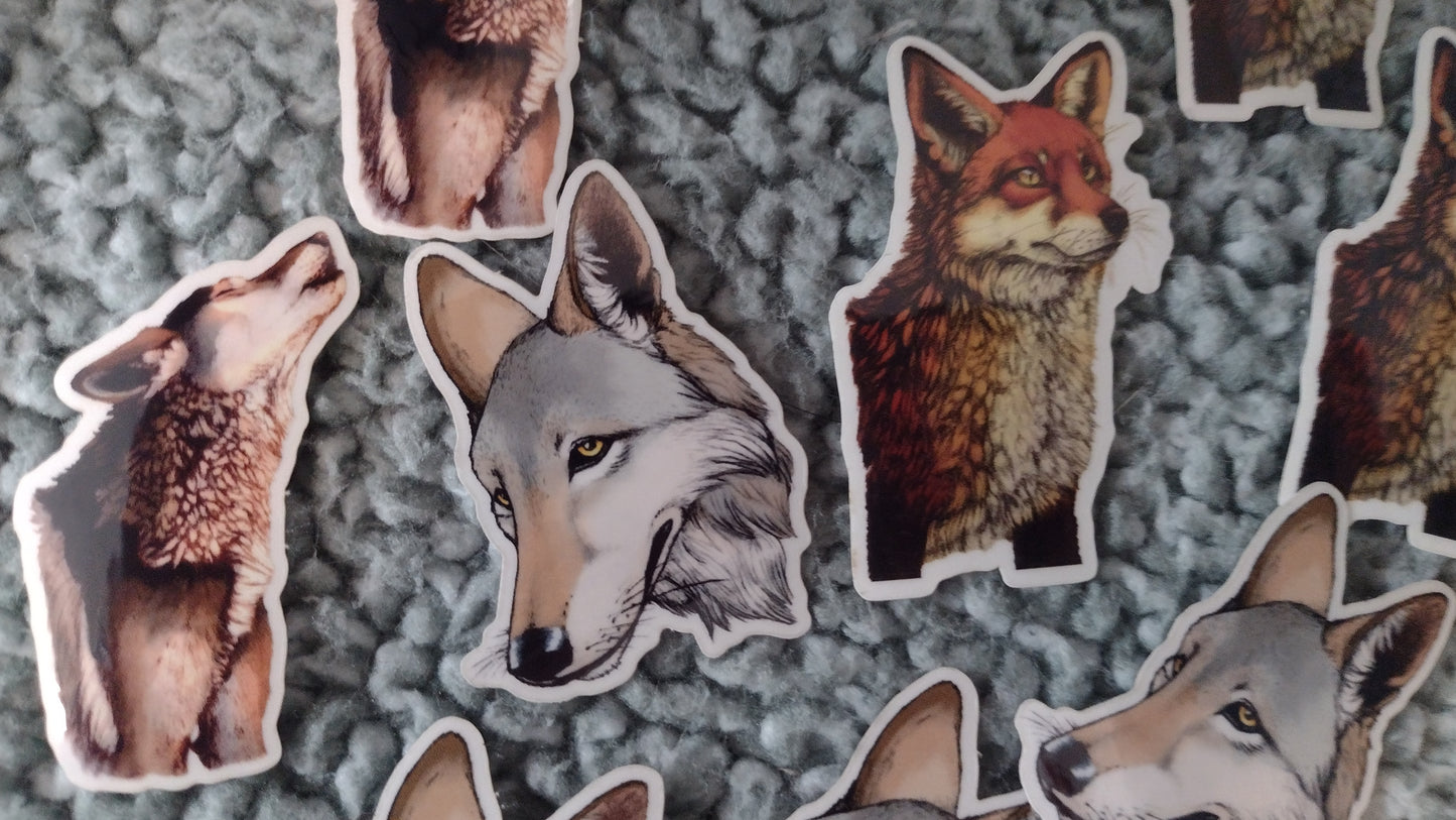 Wildlife Stickers - Foxes, Wolves, and more!