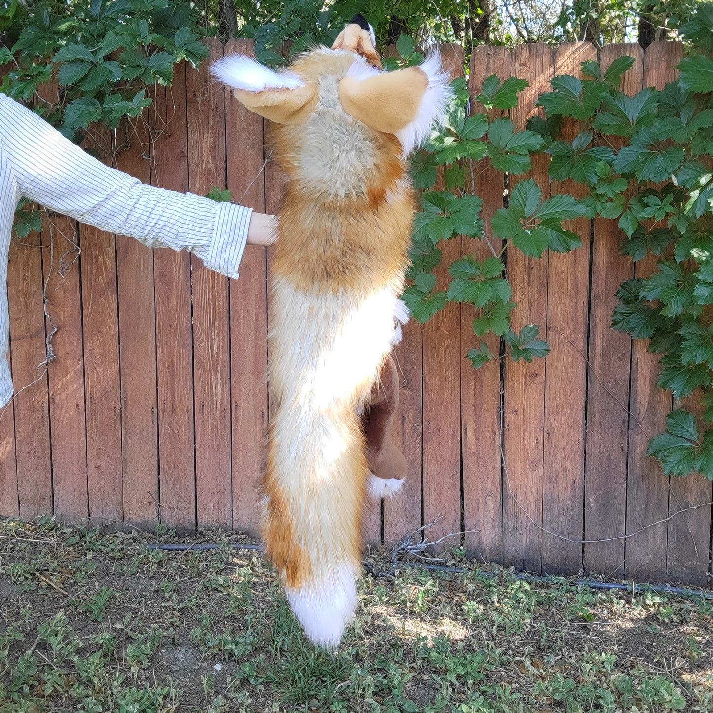 Fable the Golden Fox - Handmade Plush - One of a Kind Stuffed Animal