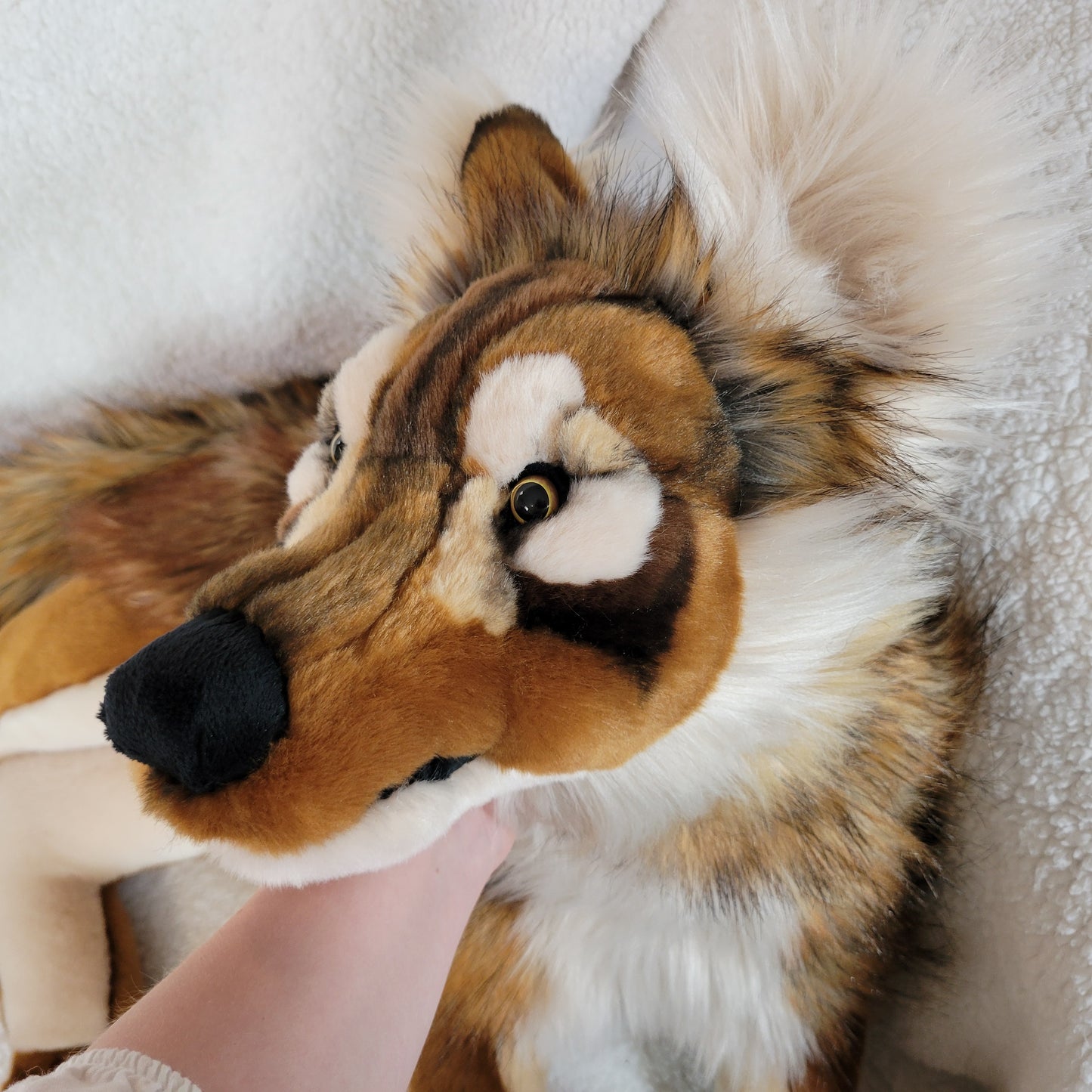 Caramel the Sea Wolf - One of a Kind Stuffed Animal