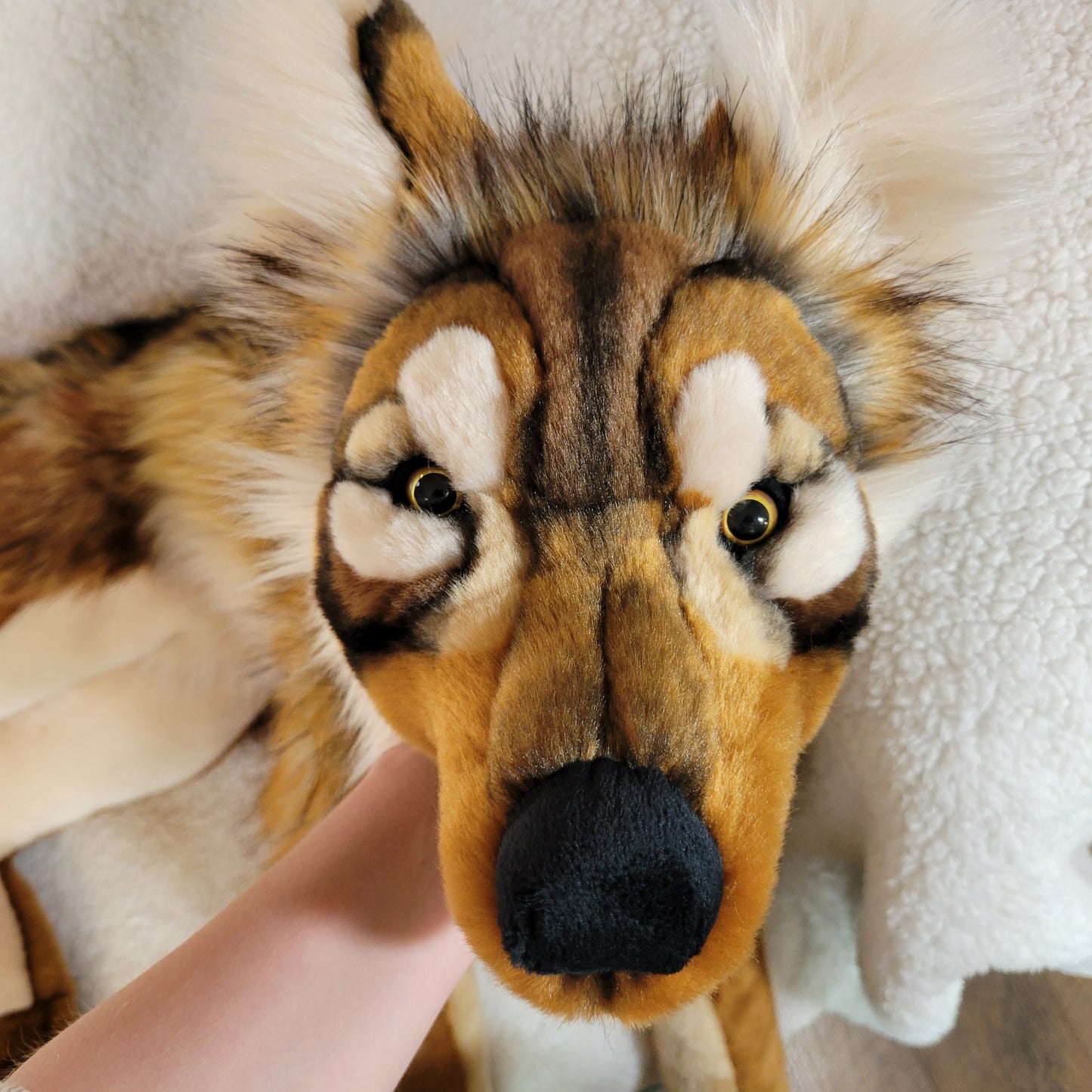 Caramel the Sea Wolf - One of a Kind Stuffed Animal