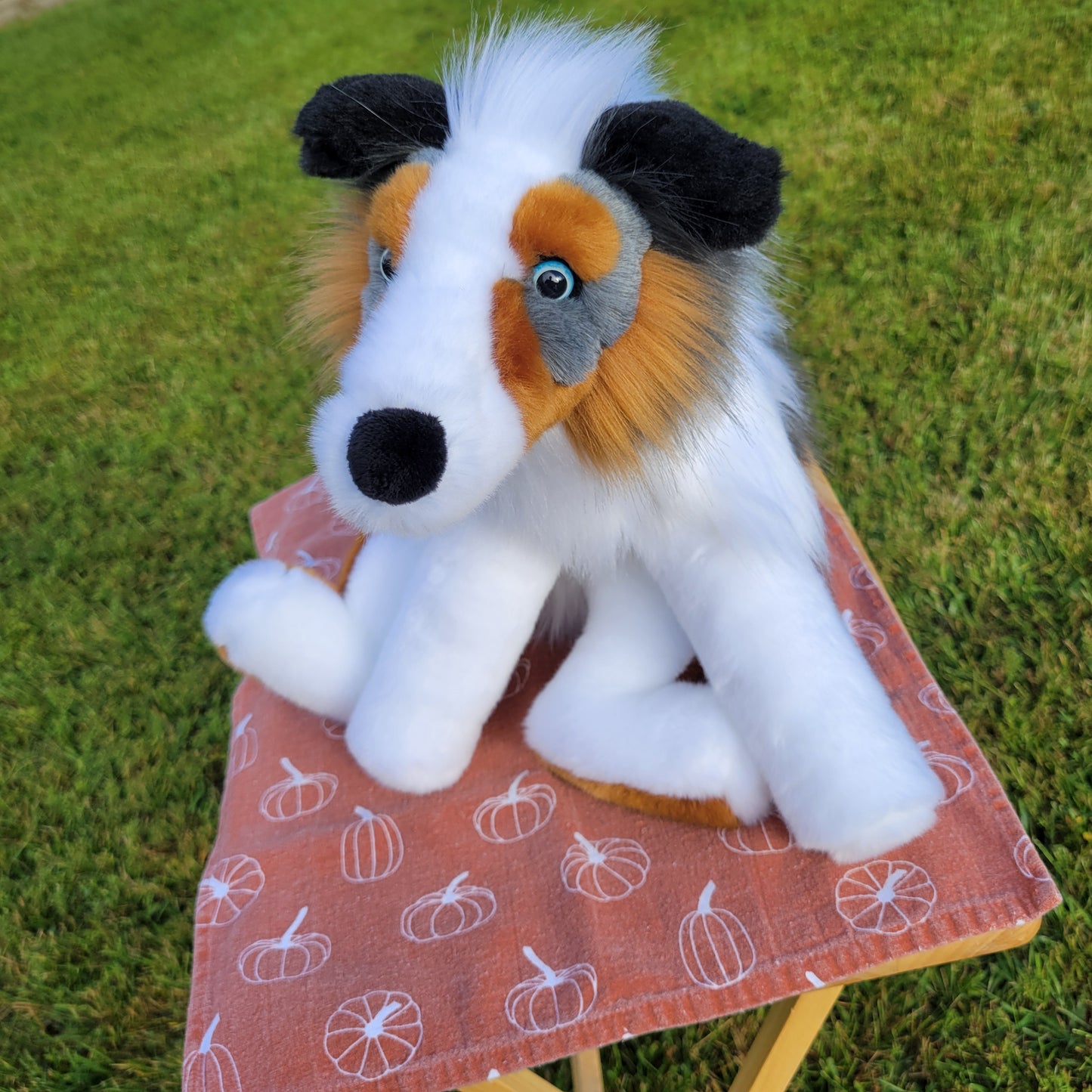 Marble the Australian Shepherd- One of a Kind Stuffed Animal