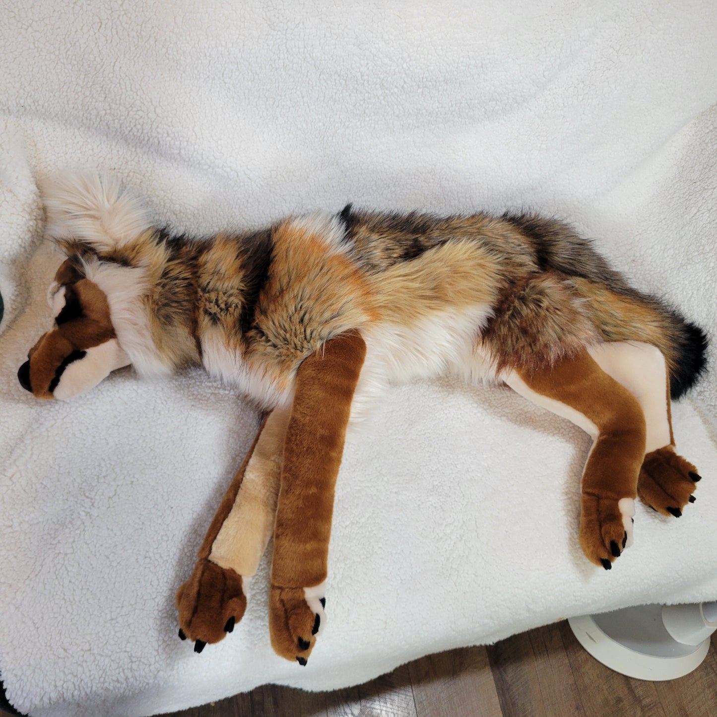 Caramel the Sea Wolf - One of a Kind Stuffed Animal