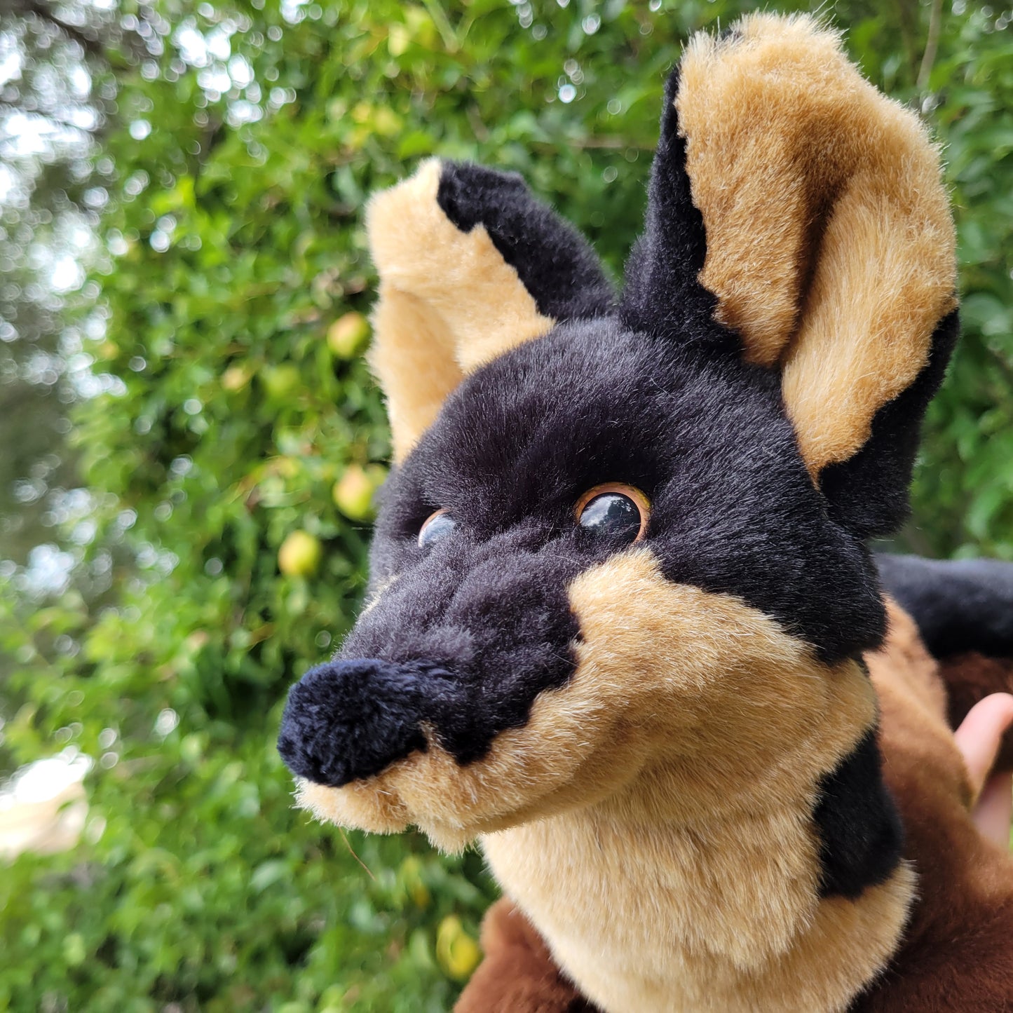Windstorm the Wolf - One of a Kind Stuffed Animal