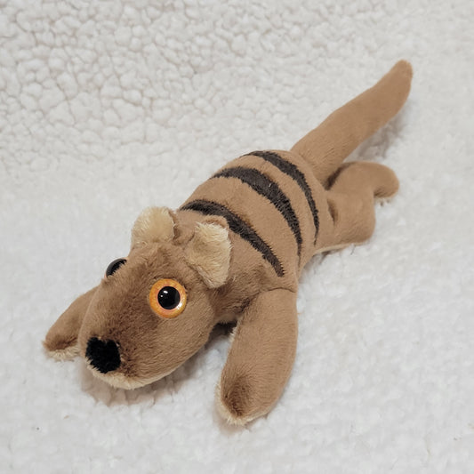 The Thylacine - Beanie Stuffed Animal