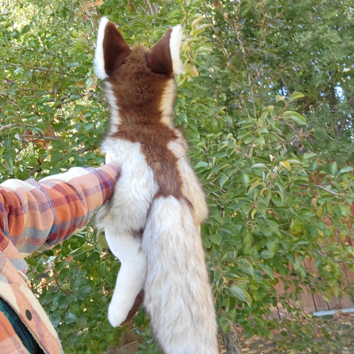 Appa the Wolf Plush - Handmade Plush - One of a Kind Stuffed Animal