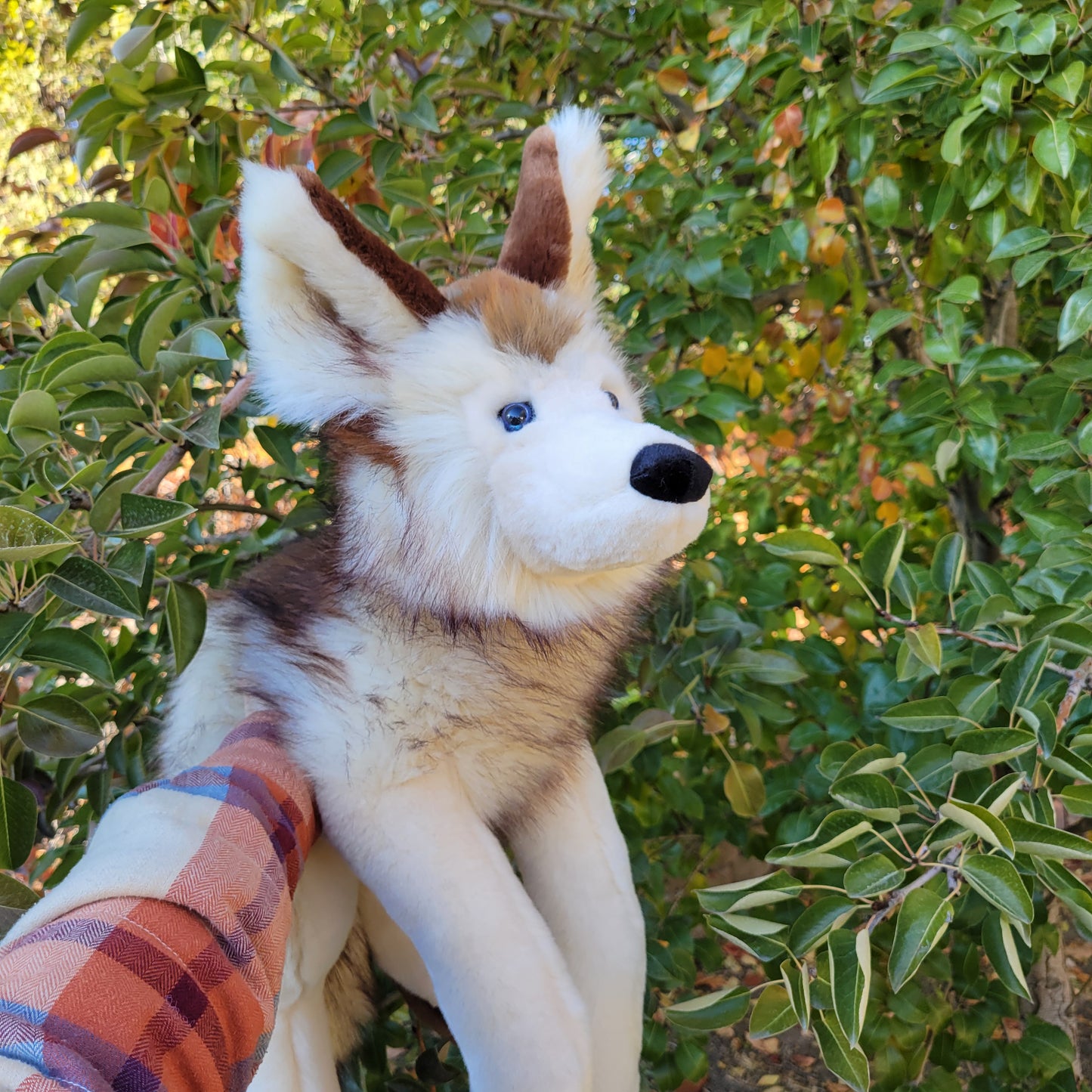 Appa the Wolf Plush - Handmade Plush - One of a Kind Stuffed Animal