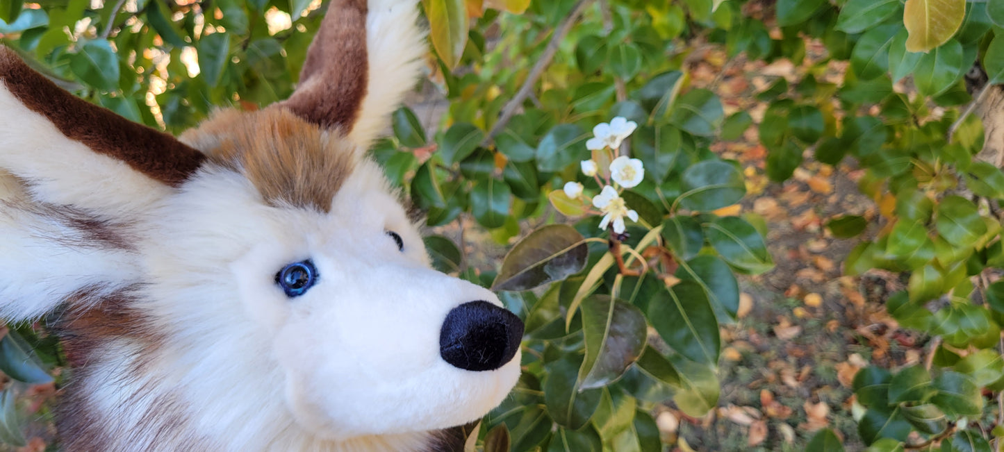 Appa the Wolf Plush - Handmade Plush - One of a Kind Stuffed Animal