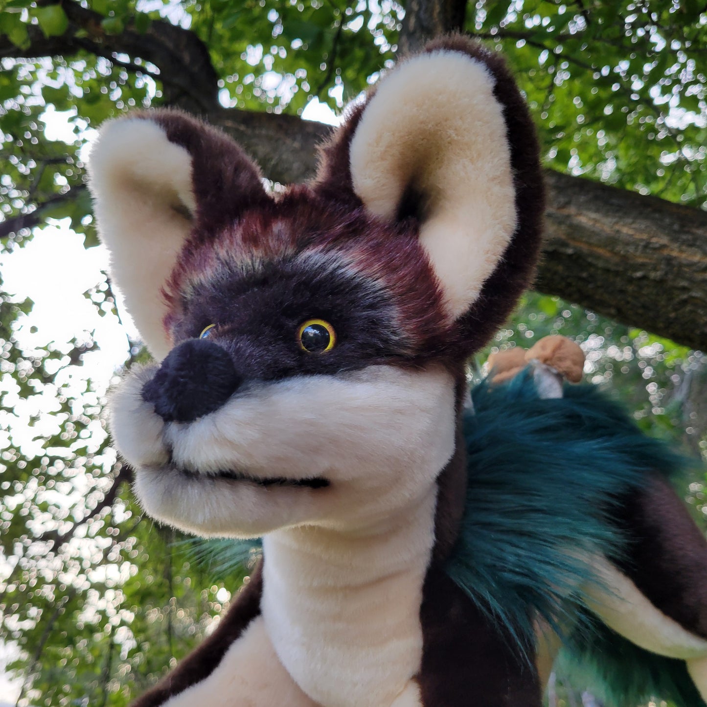 Gus the Wolf Plush - One of a Kind Stuffed Animal