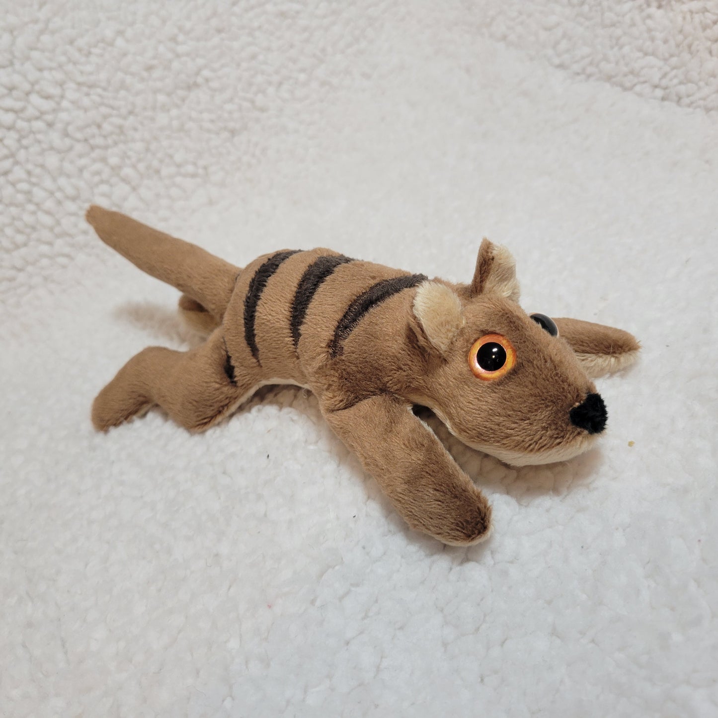 The Thylacine - Beanie Stuffed Animal