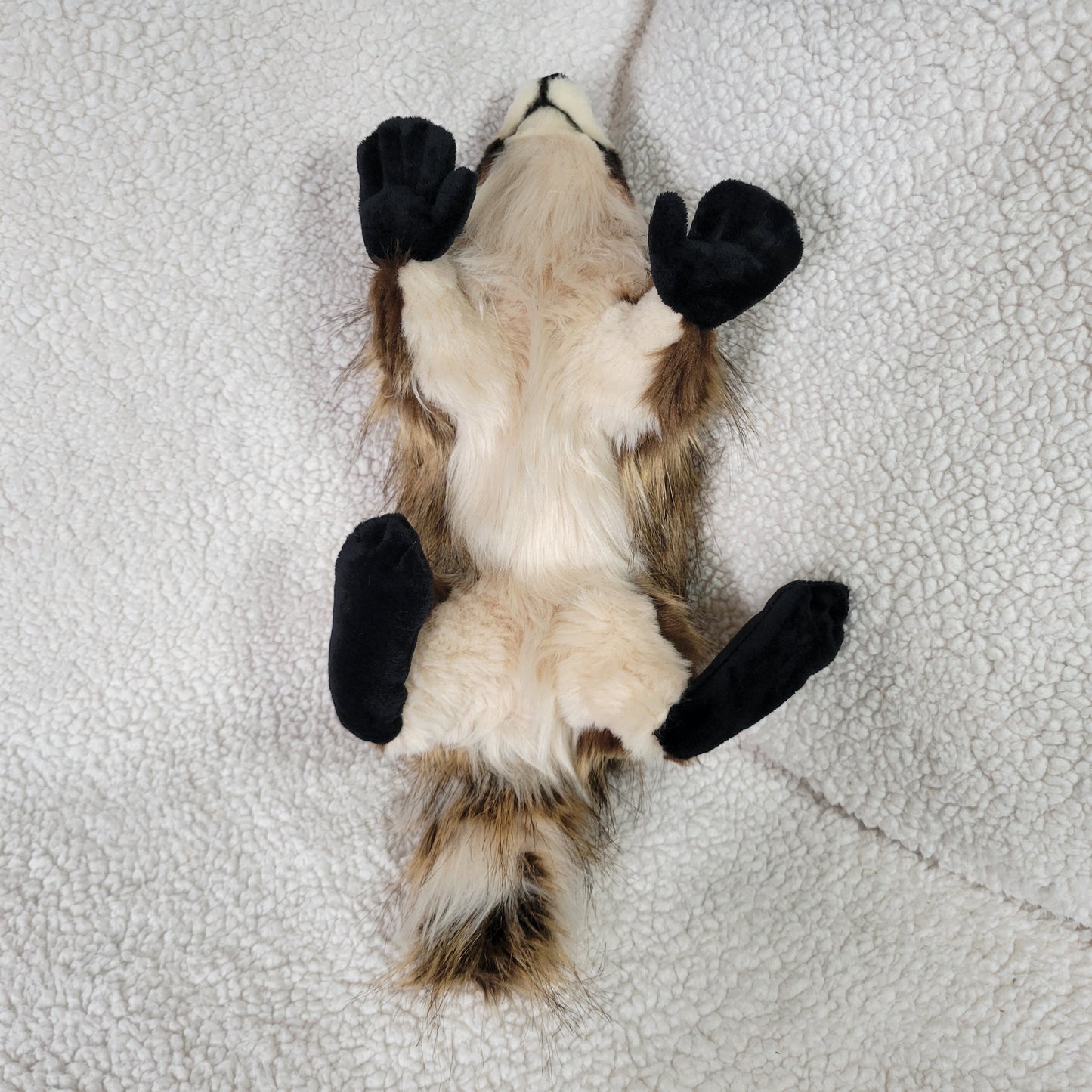 Beef Wellington the Raccoon Plush - One of a Kind Stuffed Animal