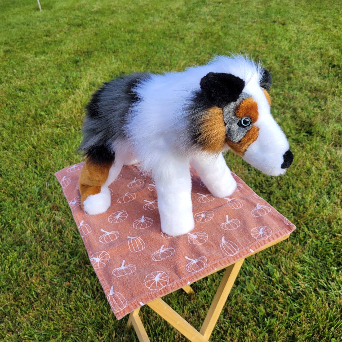 Marble the Australian Shepherd- One of a Kind Stuffed Animal