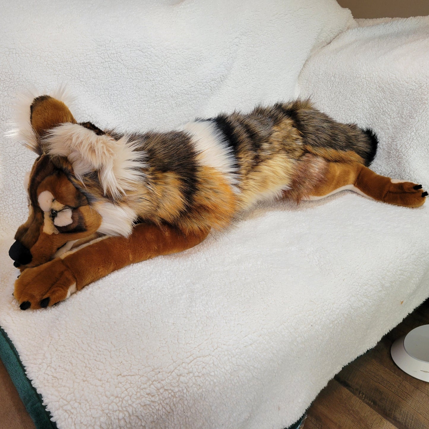 Caramel the Sea Wolf - One of a Kind Stuffed Animal