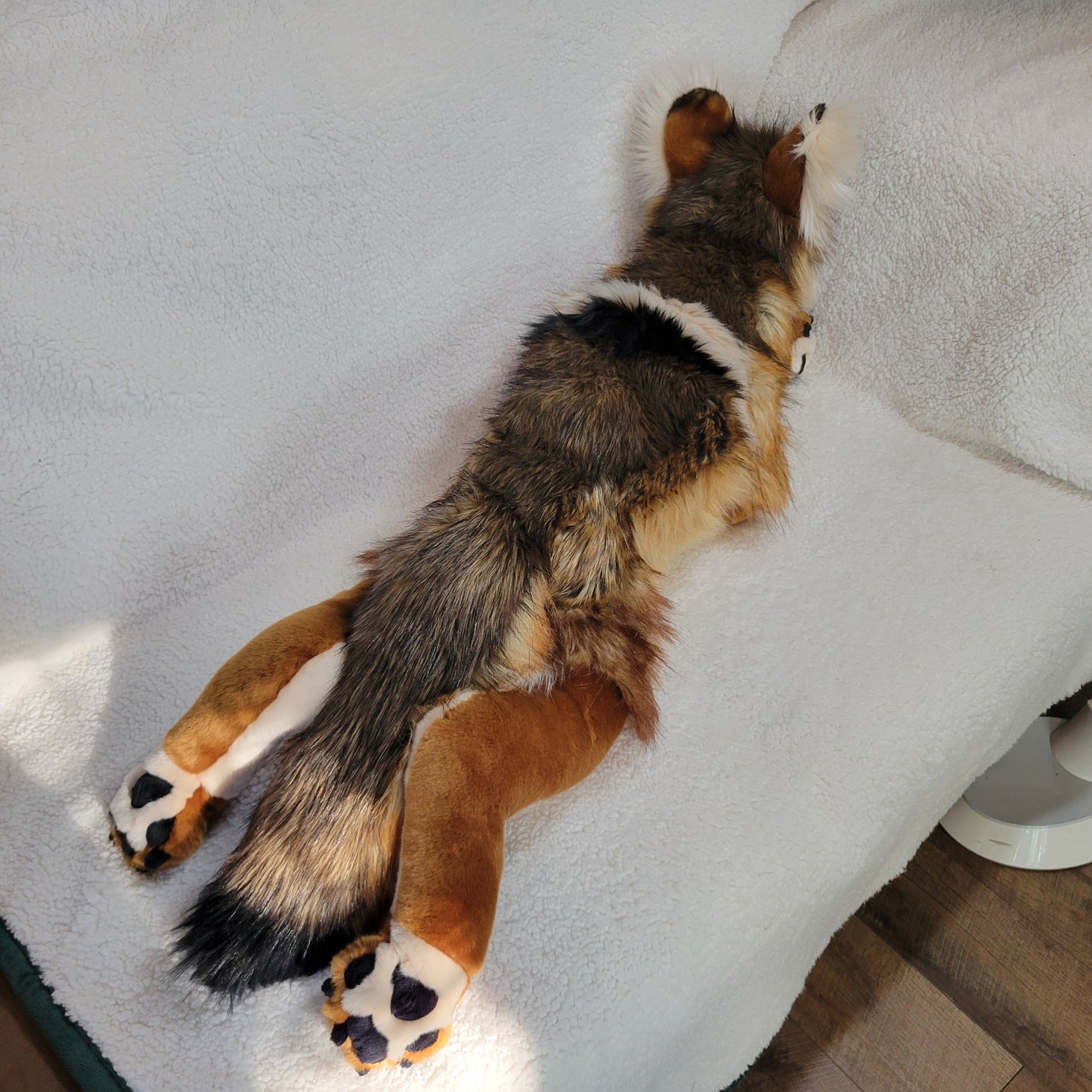 Caramel the Sea Wolf - One of a Kind Stuffed Animal