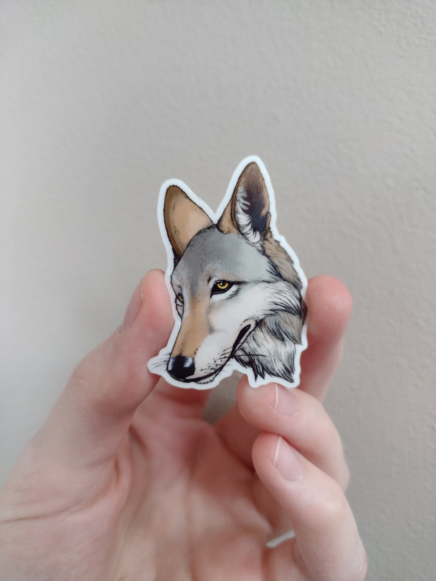 Wildlife Stickers - Foxes, Wolves, and more!