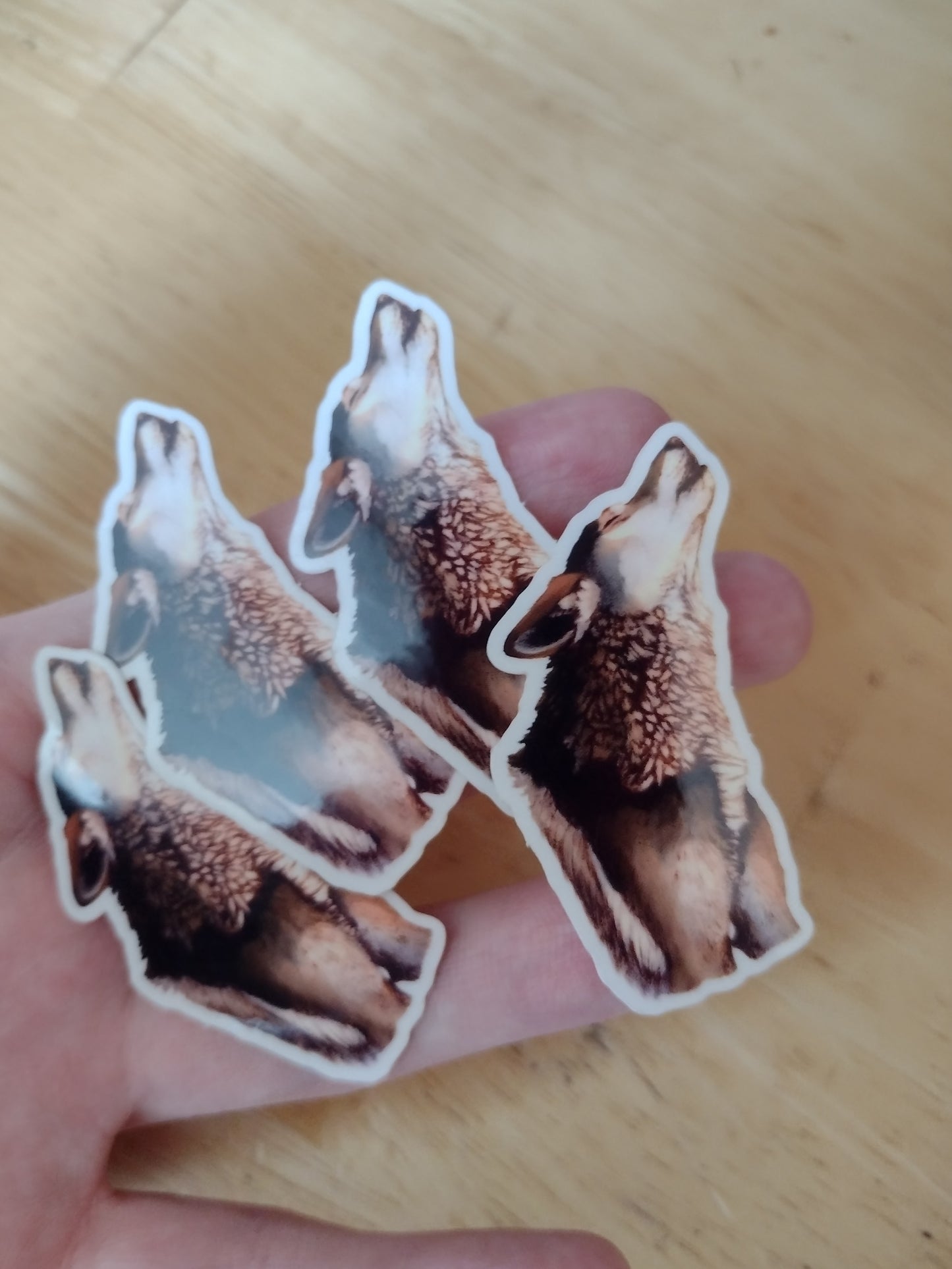 Wildlife Stickers - Foxes, Wolves, and more!