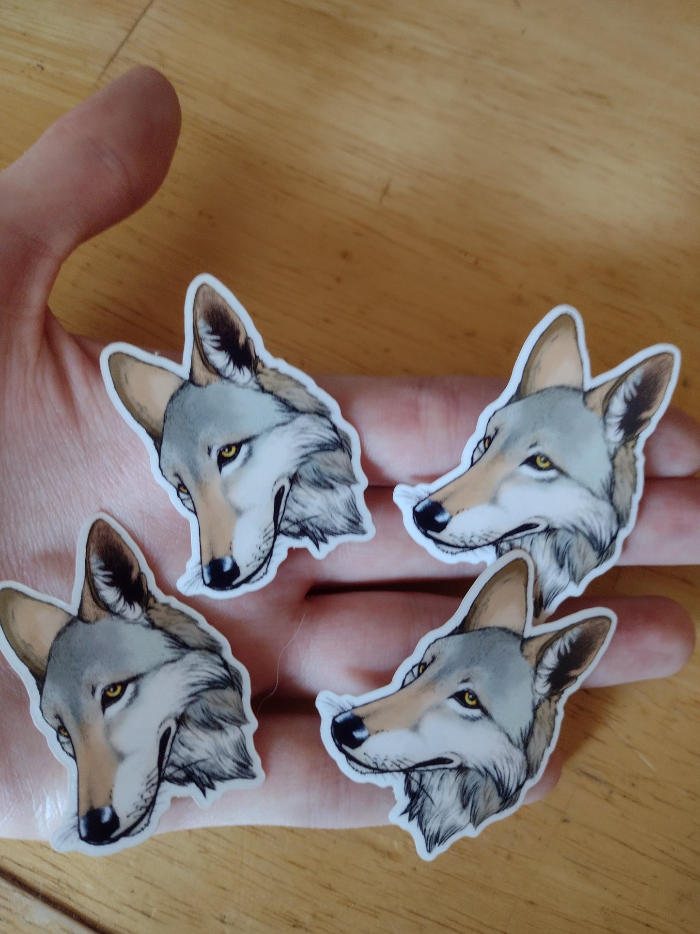 Wildlife Stickers - Foxes, Wolves, and more!